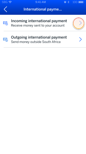 internationalPayment_paymentOptions.png