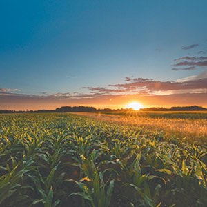 Agribusiness content tile