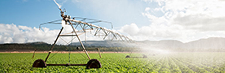 Cultivating Africa's future article image