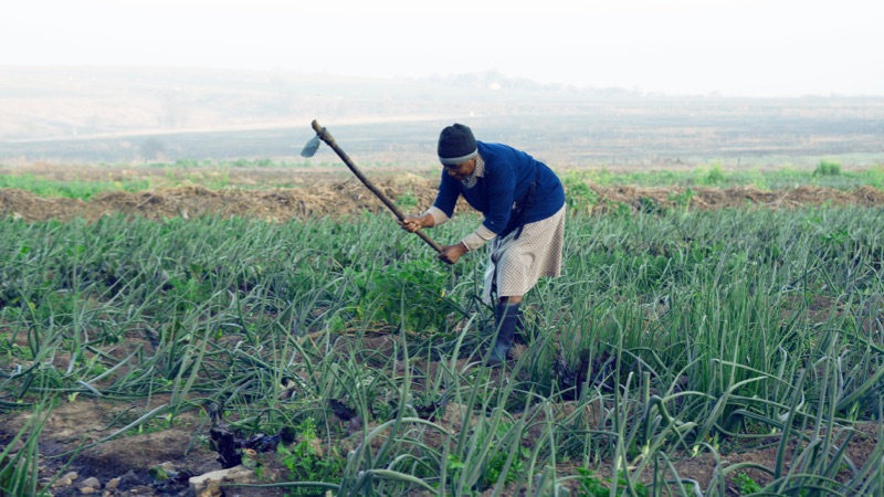 Gallery Image 1 - AND00812