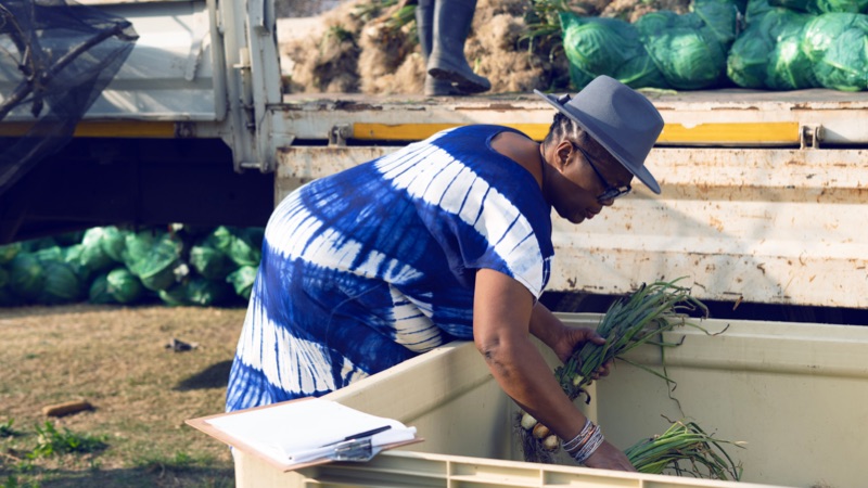 Gallary Image 2 - AND09619