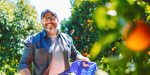 Sustainability One farm image