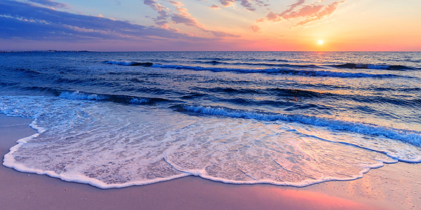 Deceased Estates Hero Banner V1